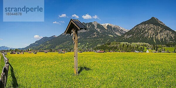 Feldkreuz mit Christusfigur  Lorettowiesen bei Oberstdorf  dahinter Gaisalphorn  1953m  Nebelhorn  2224m  und Schattenberg  1845m  Allgäuer Alpen  Allgäu  Bayern  Deutschland  Europa