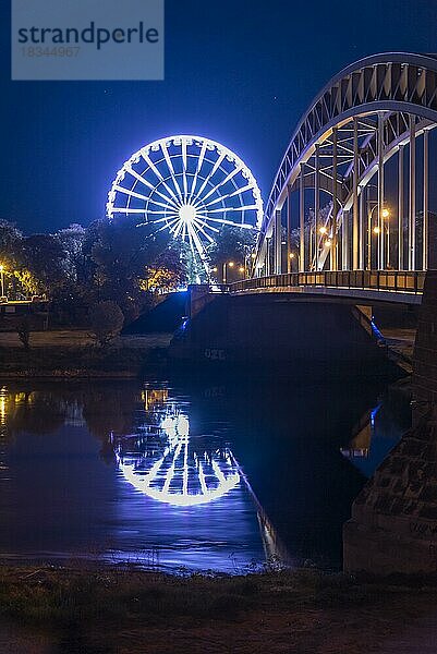 Beleuchtetes Riesenrad spiegelt sich in Elbe  Sternbrücke  Magdeburg  Sachsen-Anhalt  Deutschland  Europa