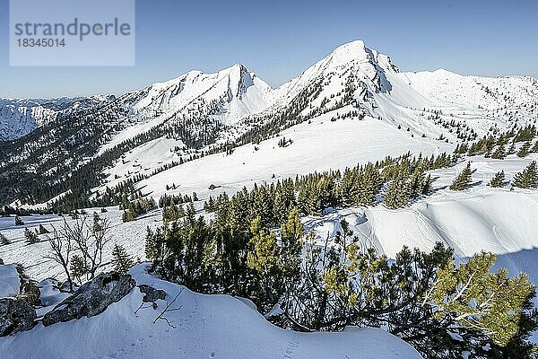 Ausblick vom Gipfel des Hochgern im Winter  Skitour  hinten verschneite Gipfel des Sonntagshorn und Hirscheck  Bergpanorama  Chiemgauer Alpen  Bayern  Deutschland  Europa