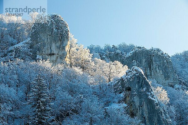 Kalksteinfels  Raureif  Schnee  Winter  Frost  Mischwald  Neidingen  Donautal  Baden-Württemberg  Naturpark Obere Donau  Deutschland  Europa