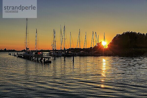 Segelboote bei Sonnenuntergang  Wasserwanderrastplatz  Gegenlicht  Hafen Wustrow  Saaler Bodden  Fischland  Ostsee  Deutschland  Europa