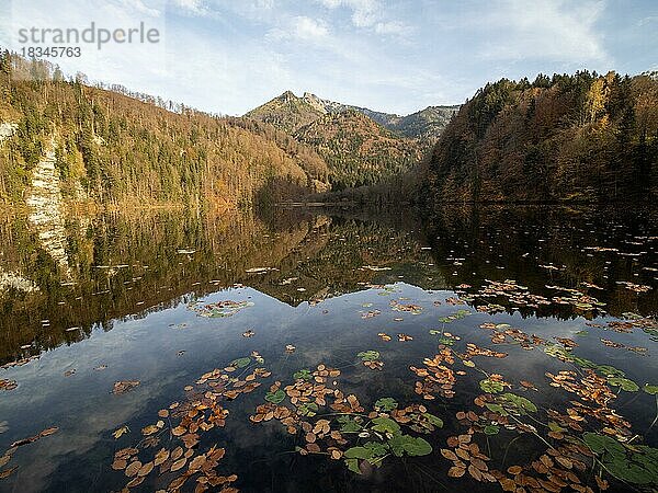 Herbststimmung am Krottensee  hinten der Schafberg  bei Sankt Gilgen  Salzkammergut  Oberösterreich  Österreich  Europa