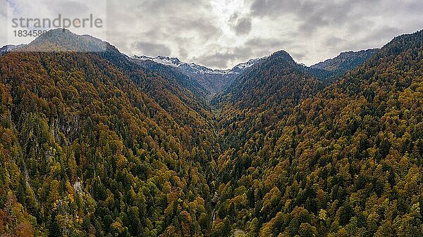 Luftaufnahme des Val di Roggiasca im Herbst  Kanton Tessin  Schweiz  Europa