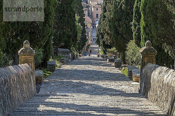 Carrer del Calvari  Treppe zum Kalvarienberg  Pollenca  Mallorca  Balearen  Spanien  Europa