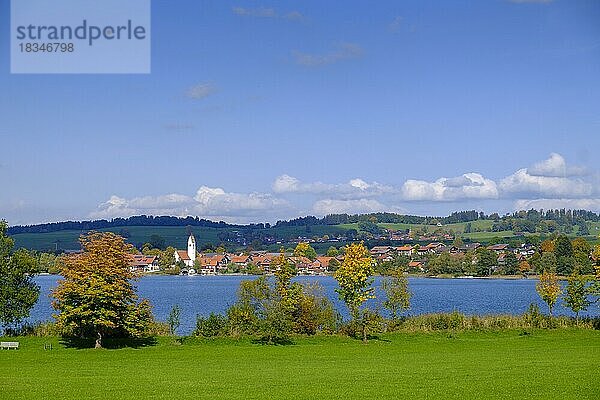 Riegsee  Pfaffenwinkel  Oberbayern  Bayern  Deutschland  Europa