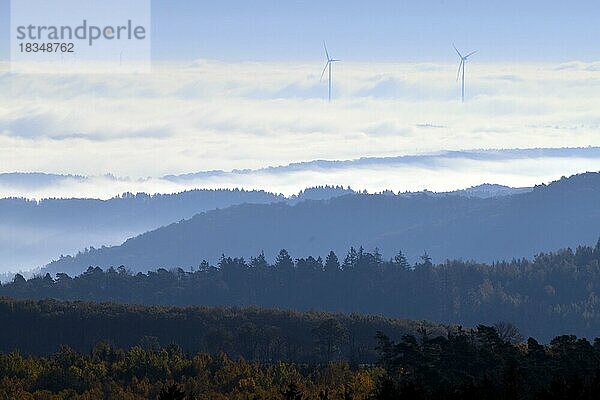 Ausblick vom Berg Mörschieder Burr im Nationalpark Hunsrück-Hochwald über Naheland und Nordpflälzer Bergland an einem nebligen Herbstmorgen  Hunsrück  Rheinland-Pfalz  Deutschland  Europa