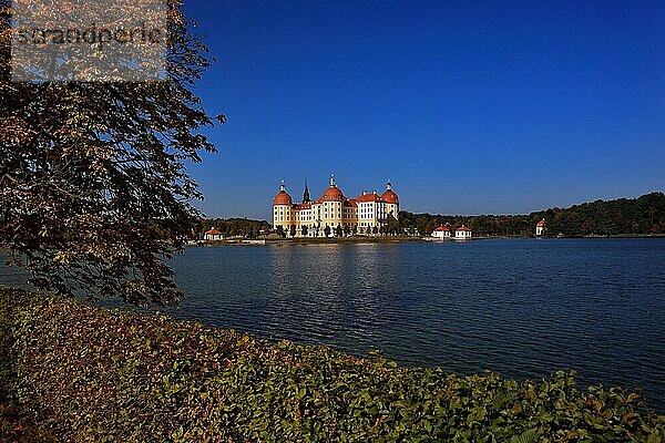 Schloss Moritzburg  Landkreis Meissen  Sachsen  Deutschland  Europa