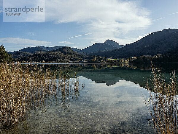 Bei Fuschl am See  Fuschlsee  Salzkammergut  Land Salzburg  Österreich  Europa