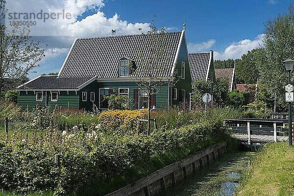 Dorfbild mit Vorgärten und traditionellen Häusern in der Straße Haaldersbroek im Ortsteil Kalverpolder  Zaandam  Nordholland  Niederlande  Europa