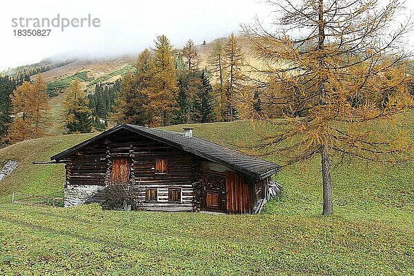 Berghütte im Herbst mit goldenen Lärchen und Nebelstimmung im oberen Lechtal  Tirol  Österreich  Europa