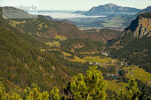 Stillachtal  bei Oberstdorf  dahinter der Grünten  1738m  Oberallgäu  Bayern  Deutschland  Europa