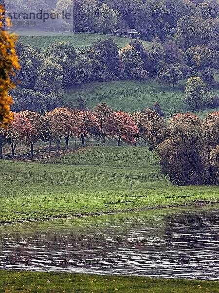 Herbstlandschaft an der Weser  Lauenförde  Holzminden  Wesertal  Solling  Weserbergland  Niedersachsen  Deutschland  Europa