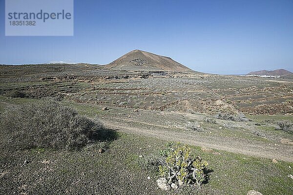 Felsenlandschaft rund um den Vulkan Montana de Guenia  Stratified City  Lanzarote  Kanaren  Spanien  Europa