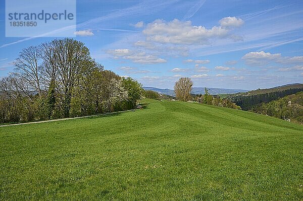 Landschaft  Wiese  Mittelgebirge  Frühling  Birkenau  Odenwald  Hessen  Deutschland  Europa