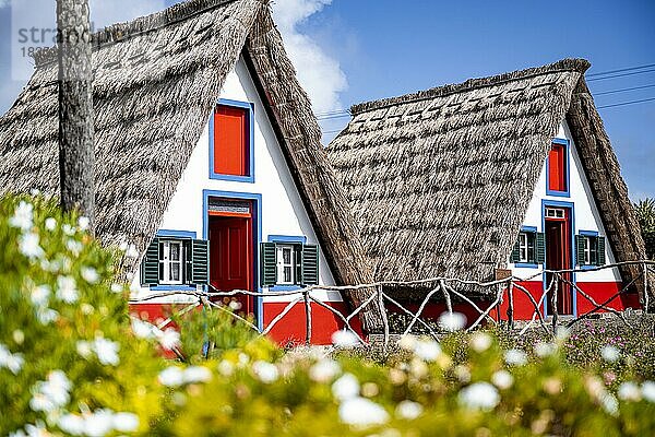 Traditionelles strohgedecktes Haus in Santana  Casa de Colmo  Insel Madeira  Portugal  Europa