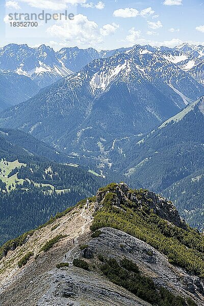 Grat am Thaneller  östliche Lechtaler Alpen  Tirol  Österreich  Europa