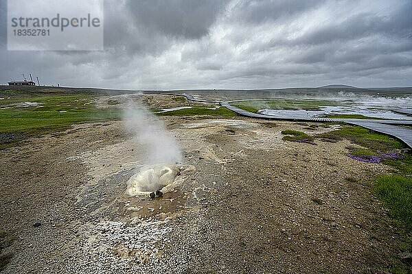 Dampfende heiße Quelle  Geothermalgebiet Hveravellir  isländisches Hochland  Suðurland  Island  Europa