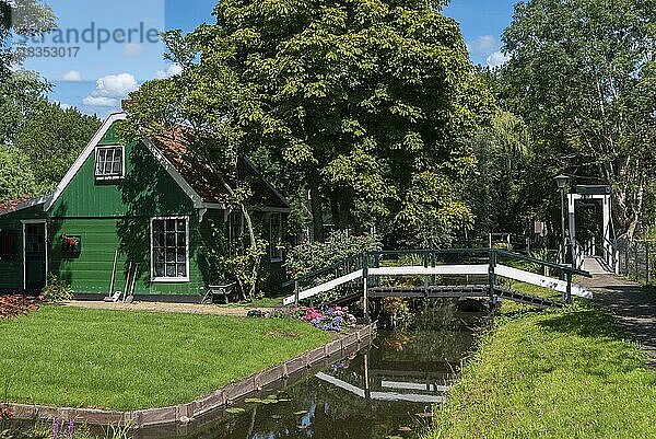 Dorfbild mit Vorgärten und traditionellen Häusern in der Straße Haaldersbroek im Ortsteil Kalverpolder  Zaandam  Nordholland  Niederlande  Europa