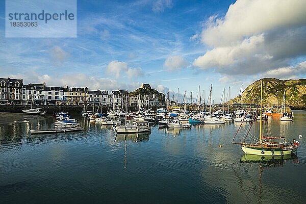 Bootshafen von Iifracombe  North Devon  England  Großbritannien  Europa