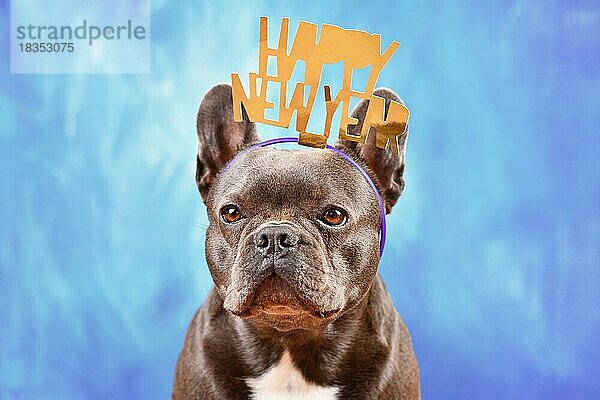 Niedliche französische Bulldogge  die ein Stirnband mit dem Text Frohes neues Jahr vor einem blauen Hintergrund trägt