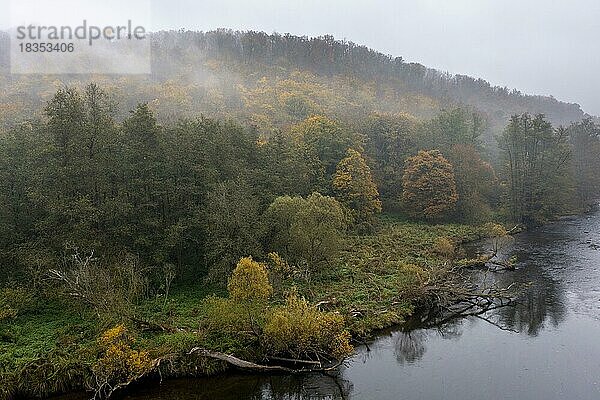 Nebelstimmung  Fluss Thaya im Herbst  Nationalpark Thayatal  Hardegg  Niederösterreich  Österreich  Europa