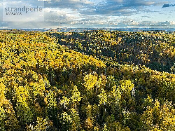 Drohnenansicht des Sonnenuntergangs über Wald und ländlicher Landschaft im Herbst  Region Schwäbischer Wald  Baden-Württemberg  Deutschland  Europa