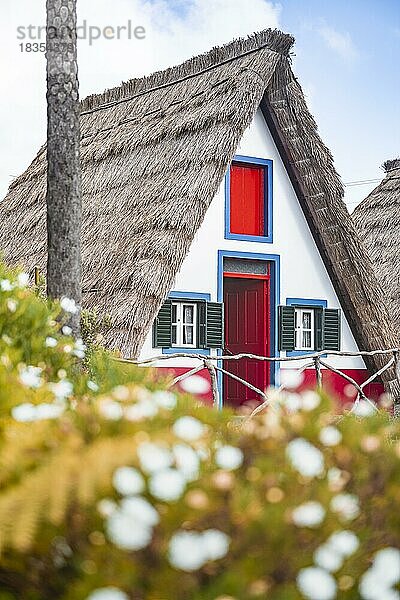 Traditionelles strohgedecktes Haus in Santana  Casa de Colmo  Insel Madeira  Portugal  Europa