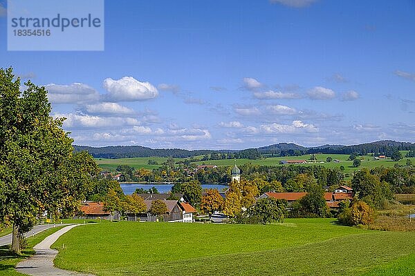 Froschhausen zwischen dem Riegsee und Froschhauser See  Pfaffenwinkel  Oberbayern  Bayern  Deutschland  Europa