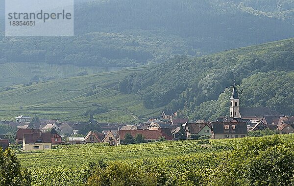 Blick auf Hunawihr  Département Haut-Rhin  Elsass  Frankreich  Europa