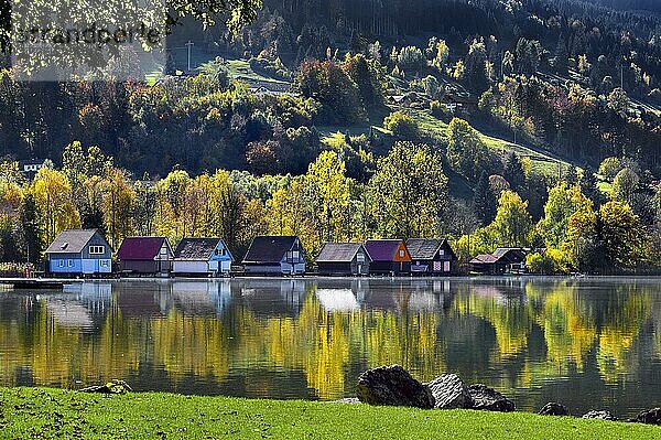 Bootshäuser und Mischwald am herbstlichen großen Alpsee bei Bühl  Immenstadt Im Allgäu  Oberallgäu  Bayern  Deutschland  Europa