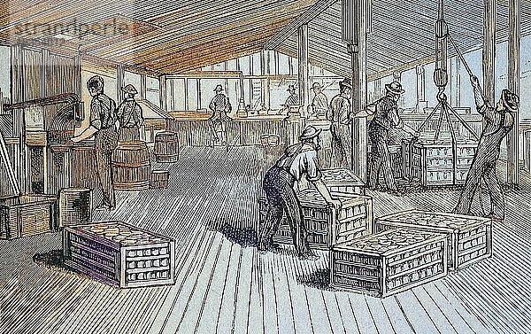 Konservenfabrik von Thurber & Co in Moorestown  um 1880  New Jersey  USA  hier die Verladung von Kisten mit Konservendosen  Historisch  digital restaurierte Reproduktion einer Vorlage aus dem 19. Jahrhundert  Nordamerika