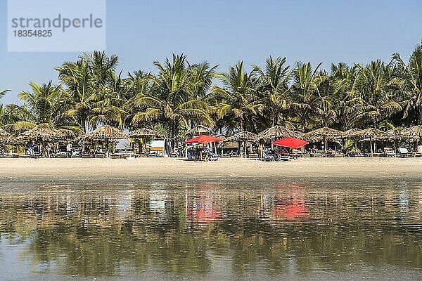 Palmen am Strand der Rainbow Beach Bar And Lodge  Sanyang  Gambia  Westafrika  Afrika