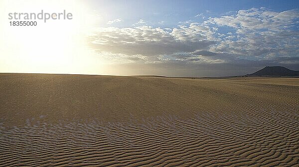 Morgenlicht  Gegenlicht  wolkiger blauer Himmel  Sandwüste  wellenförmige Strukturen im Sand  Grauer Hügel  Nordostküste  Dünengebiet  El Jable  Naturschutzgebiet  Fuerteventura  Kanarische Inseln  Spanien  Europa