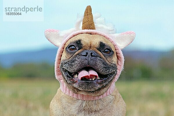 Niedliche Französische Bulldogge mit Halloween-Kostüm in Form von rosa gestrickten Einhorn Hut gekleidet