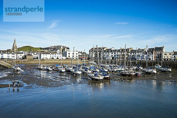 Bootshafen von Iifracombe  North Devon  England  Großbritannien  Europa