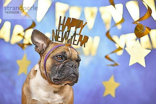 Französische Bulldogge  die ein Silvester-Stirnband mit dem Text Frohes neues Jahr vor einem blauen Hintergrund mit goldenen Girlanden trägt