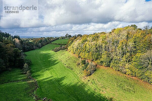 Wälder und Bauernhöfe über Berry Pomeroy  Devon  England  Großbritannien  Europa