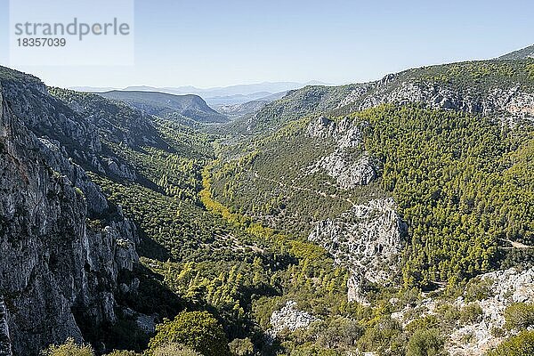 Blick in ein Tal mit Felswänden in den Bergen  Peloponnes  Griechenland  Europa