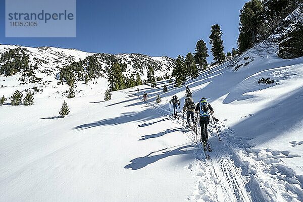 Gruppe von Skitourengehern beim Aufstieg im Schartlestal  Aufstieg zum Kreuzjoch  Kühtai  Stubaier Alpen  Tirol  Österreich  Europa