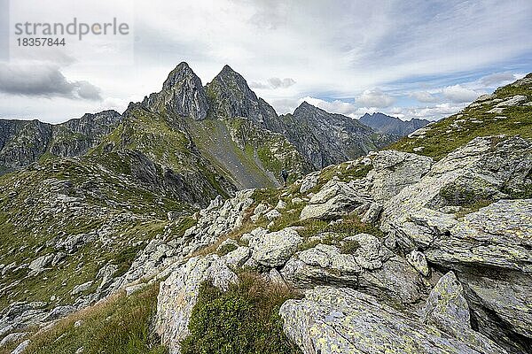 Wanderer am Obergailtaler Joch  hinte Berggipfel Letterspitze und Steinwand  Karnischer Alpen  Kärnten  Österreich  Europa