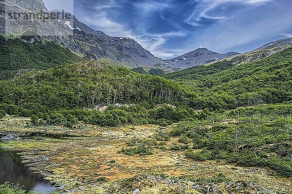 Moor- und Wald- und Gebirgslandschaft Ushuaia Argentinien