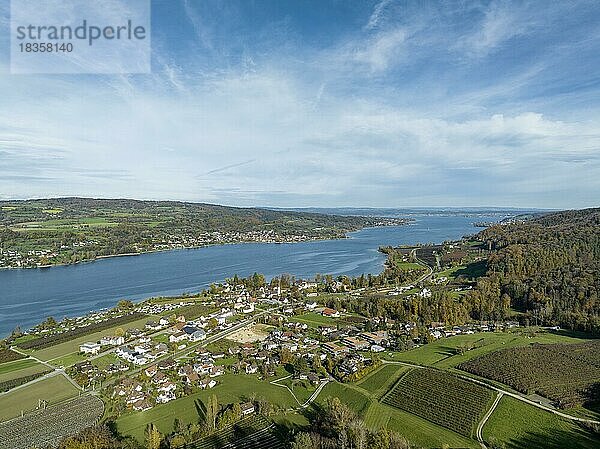 Blick vom thurgauischen Seerückenhang  hinab zur Ortschaft Mammern  am westlichen Bodensee  am Horizont die deutsche Halbinsel Höri  Kanton Thurgau  Schweiz  Europa