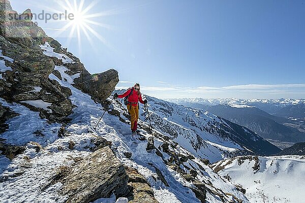 Skitourengeherin am Mitterzeigerkogel  Berge im Winter  Sellraintal  Kühtai  Tirol  Österreich  Europa