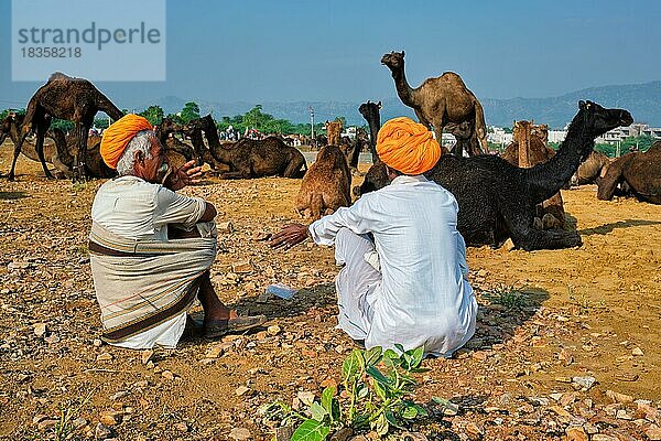 Indische Dorfbewohner und Kamele auf der jährlichen Kamel- und Viehmesse Pushkar Mela  einer der größten Kamelmessen der Welt und Touristenattraktion  Pushkar  Indien  Asien