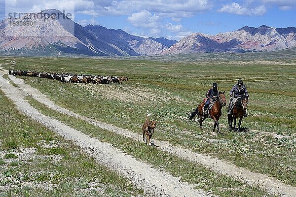 Kirgisische Nomaden und Schafherde  Tian Shan-Gebirge nahe der chinesischen Grenze  Region Naryn  Kirgisistan