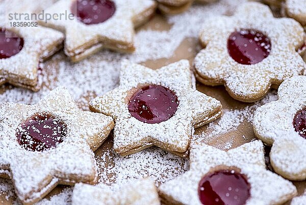 Frisch gebackene Spitzbuben in Form von Stern  Blume  Füllung aus Marmelade  mit Puderzucker bestreut  Plätzchen  Weihnachtsplätzchen  Weihnachtsgebäck  Deutschland  Europa