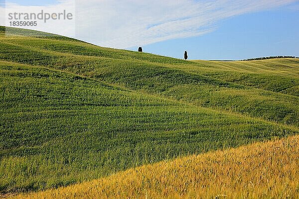 Wellige  hueglige Landschaft in der Toskana  in der Crete Senesi  Toskana  Italien  Europa