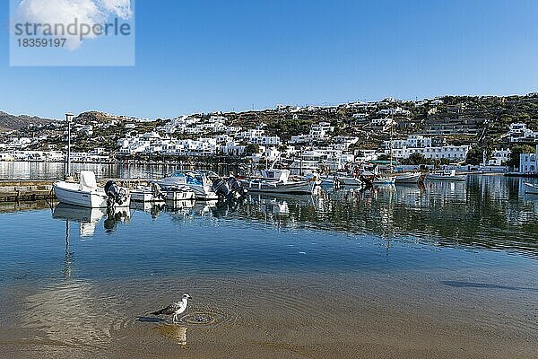 Alter Hafen von Horta  Mykonos  Griechenland  Europa