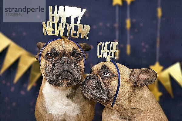 New Years Eve Hunde. Lustige Französisch Bulldogge Hunde tragen goldene Partei Feier Stirnbänder mit Worten Frohes neues Jahr und Jubel vor blauem Hintergrund