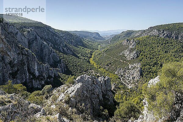 Blick in ein Tal mit Felswänden in den Bergen  Peloponnes  Griechenland  Europa